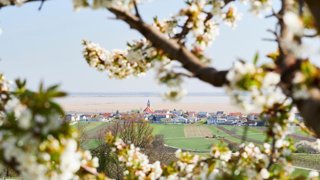 Villa Seehnsucht 조이스 외부 사진